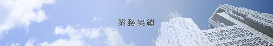 業務実績